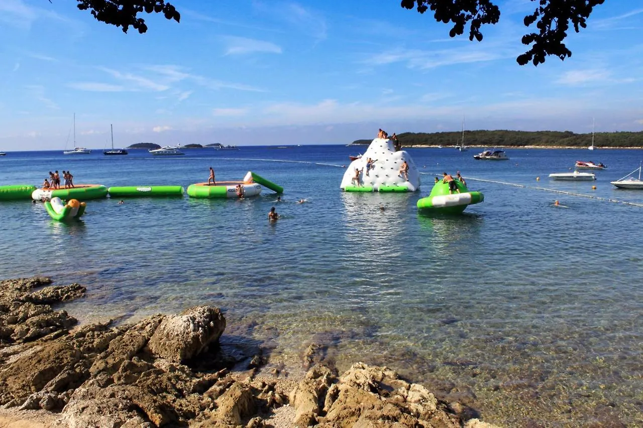 Family Friendly House With A Swimming Pool Mofardini, Central Istria - Sredisnja Istra - 20586 Holiday home Mofardini